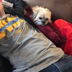 Meet your Posher, Quintin